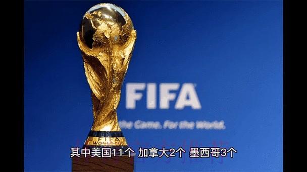 2026年世界杯盘口走向与最新动态解析